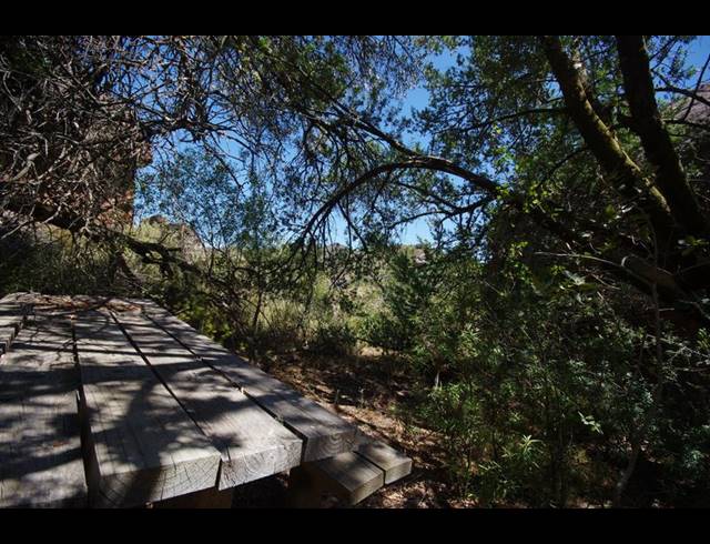 LAND FOR SALE IN PIKETBERG RURAL